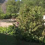 Eleftherios 3* קלבריטה