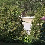 Πανσιόν ελευθέριος