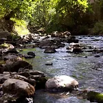 Eleftherios Kalavryta