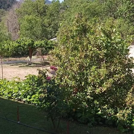 Eleftherios 3* Калаврита