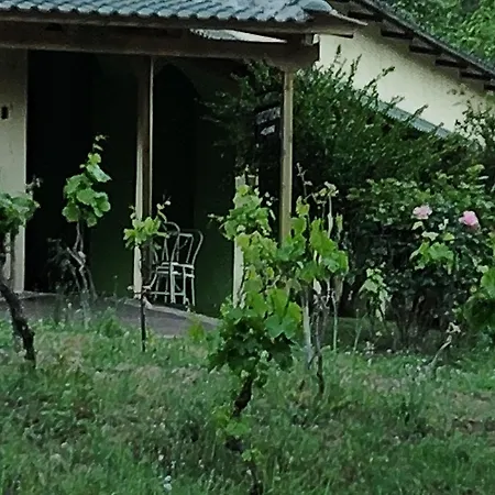 Eleftherios Casa de hóspedes