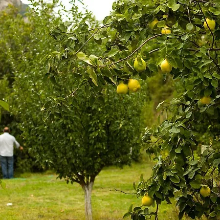 Eleftherios Affittacamere 3*