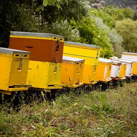 Pensión Eleftherios Kalavryta