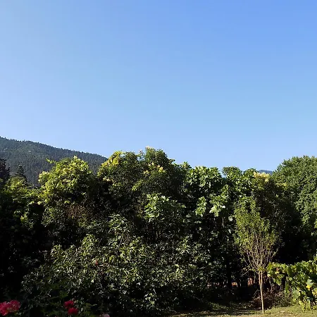 Eleftherios Guest house Kalavryta