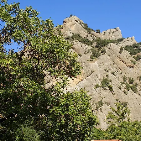 Eleftherios