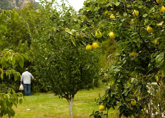 Eleftherios ゲストハウス 3*