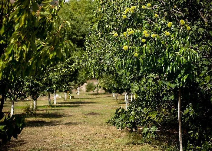 Gæstehus Eleftherios 3*