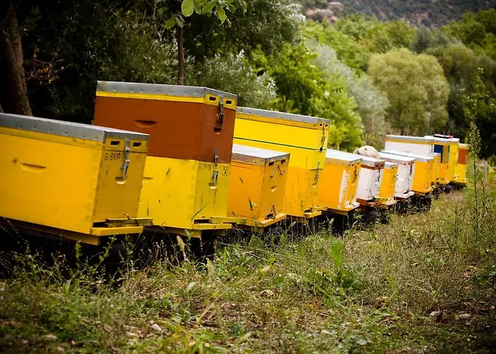 Gæstehus Eleftherios Kalavryta