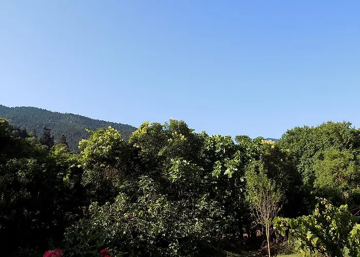 Eleftherios Gæstehus Kalavryta