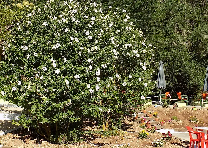 Eleftherios Gæstehus 3*