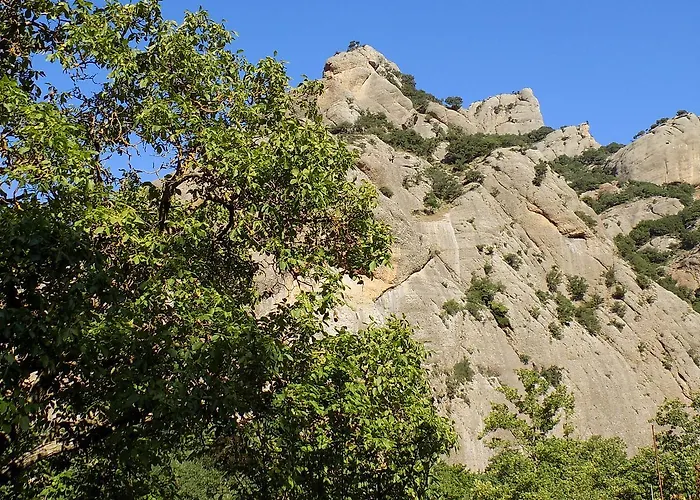 Eleftherios